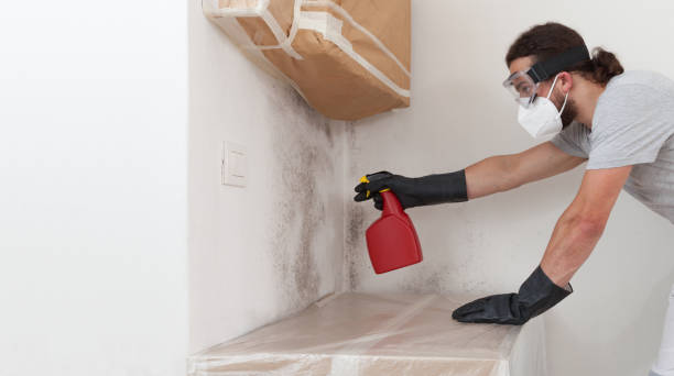 Professional Bathroom Mold Removal technician working in Warren, IL