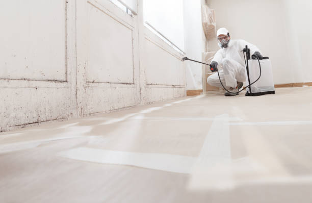 24/7 Emergency Bathroom Mold Removal experts in Warren, IL